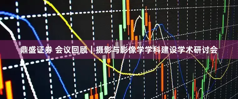 鼎盛证券 会议回顾｜摄影与影像学学科建设学术研讨会