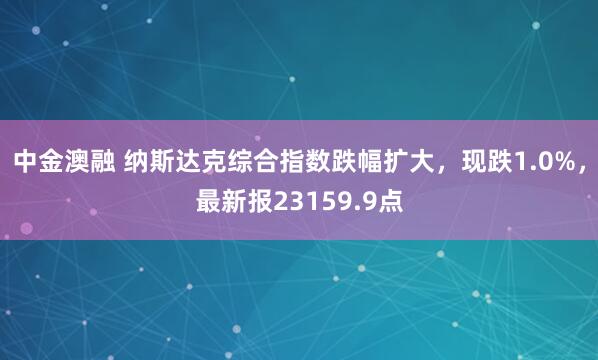中金澳融 纳斯达克综合指数跌幅扩大，现跌1.0%，最新报23159.9点